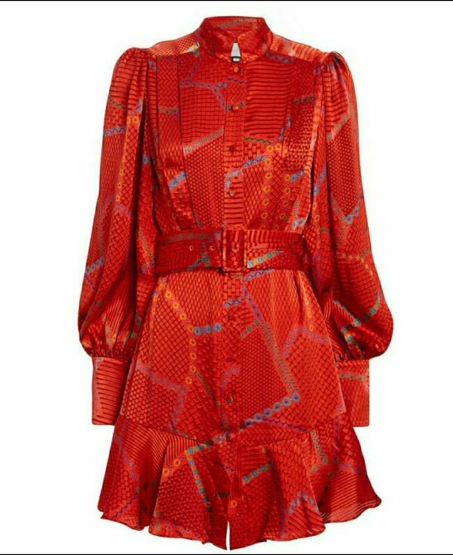 ALEXIS Lishan Printed Mini Dress - Medium