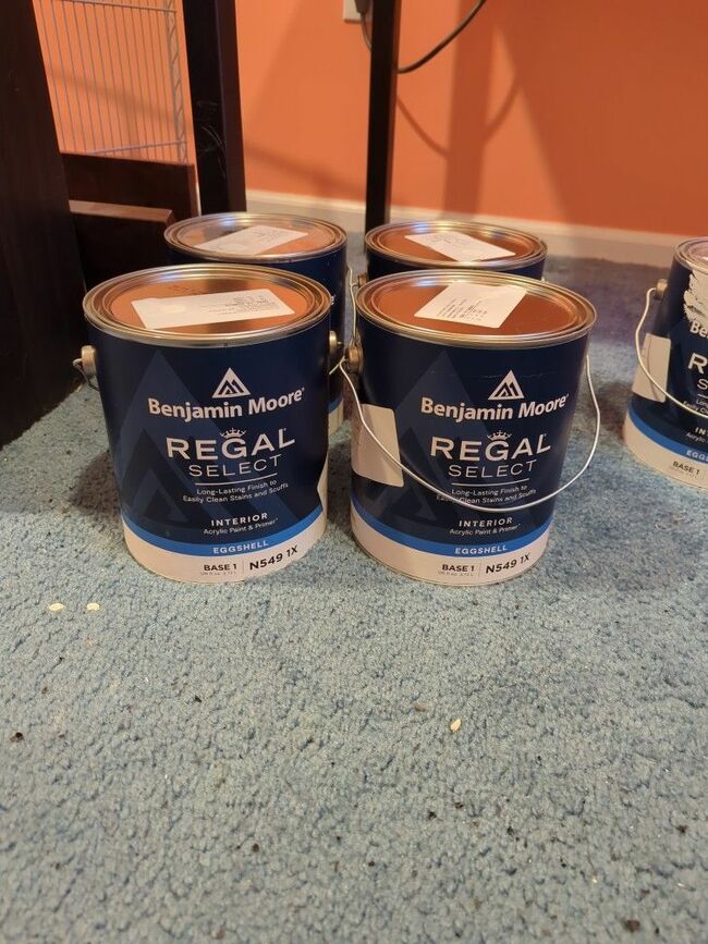 Ben Moore Regal Select White Paint