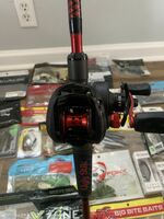 shing Rod And Reel And Lures