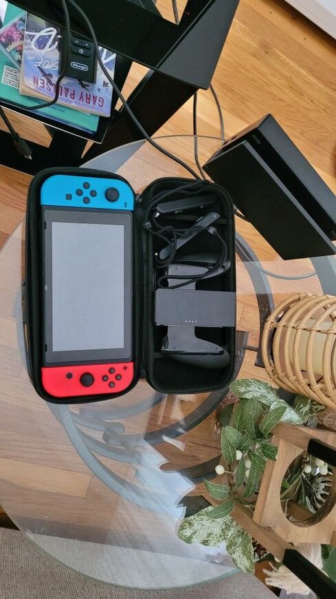 Nintendo And Mario Cart Game