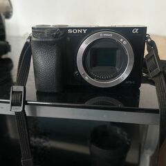 Sony A Series Camera