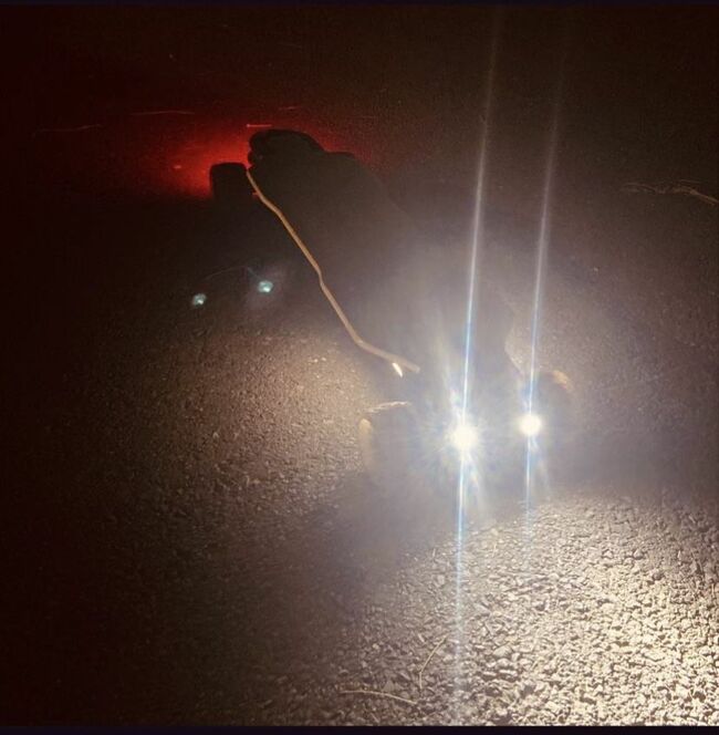 Backfire Electric Longboard