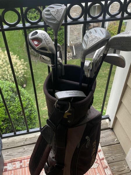 Golden bear RH Golf Clubs