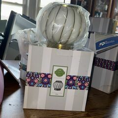 Classic Chic Scentsy Warmer !