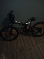 E Bike Mx350