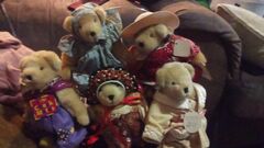 Vandebear Collection