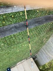 Antique  Saltwater Pole