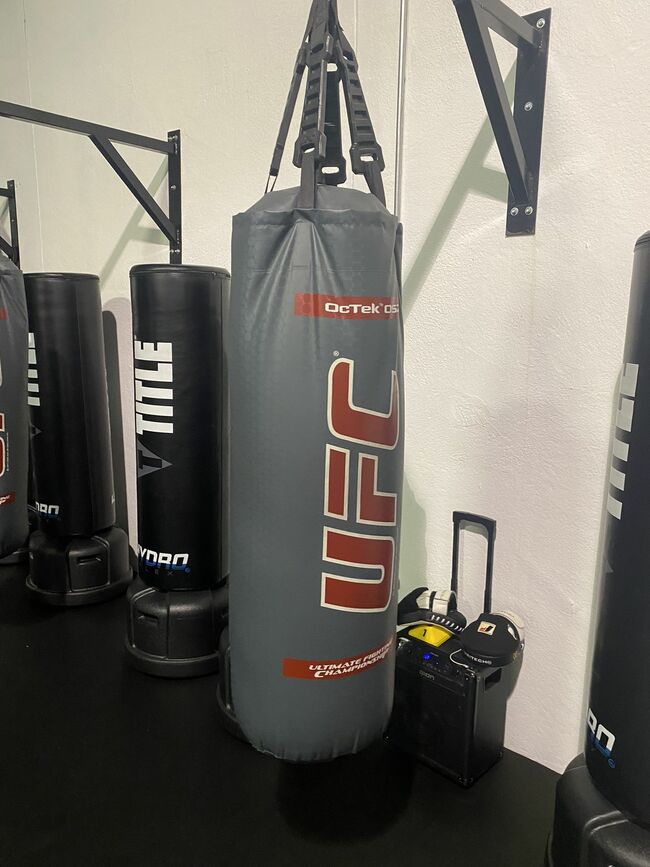 UFC Boxing Punching Bag
