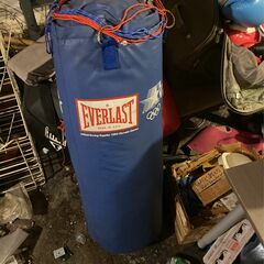 Everlast Heavy Bag
