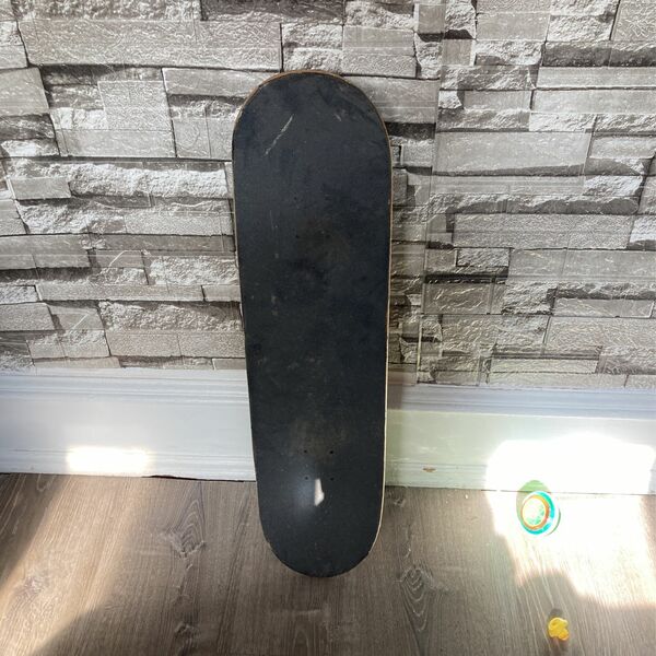 Skate Board