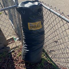 Everlast Heavy Bag