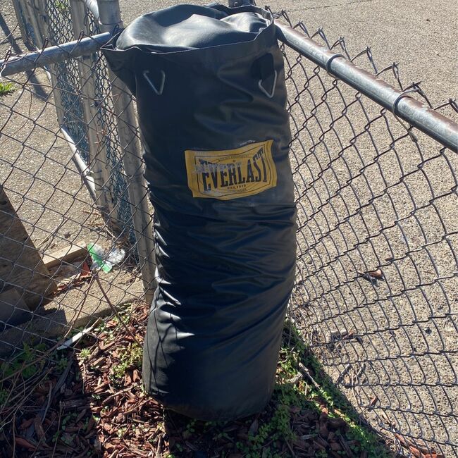 Everlast Heavy Bag