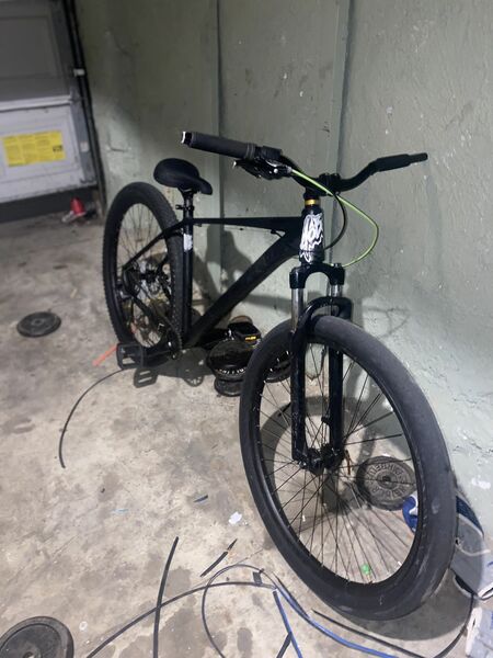 29” Schwinn Boundarys