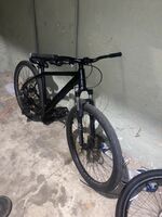 29” Schwinn Ascension