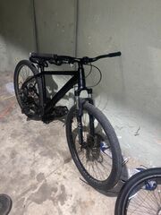 29” Schwinn Ascension