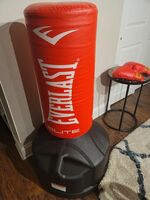Everlast Punch Bag