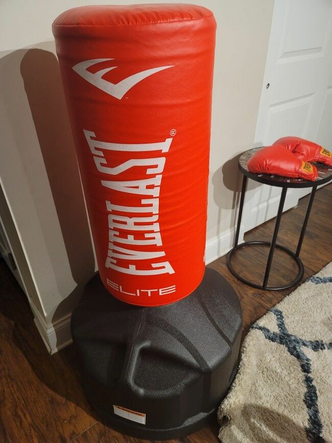 Everlast Punch Bag
