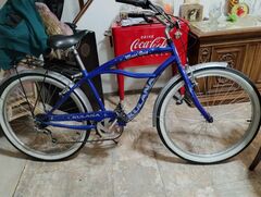 27inch Moondog Cruiser Kulana