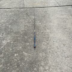 Defender Casting Rod