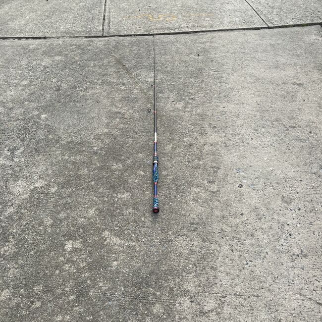 Defender Casting Rod