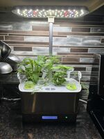 Indoor Herb garden