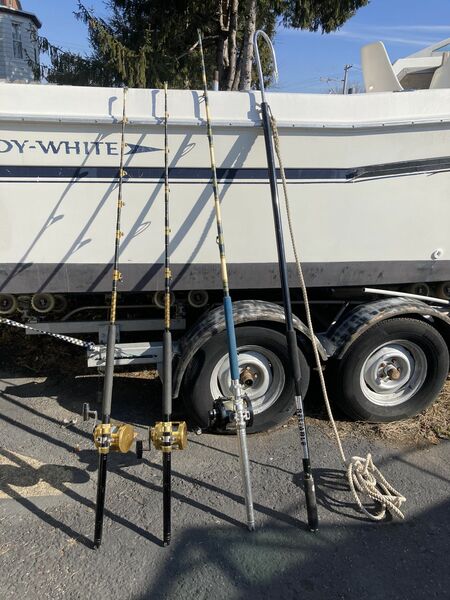 shing Reels 2 Penn 50w 1 Shimano 80