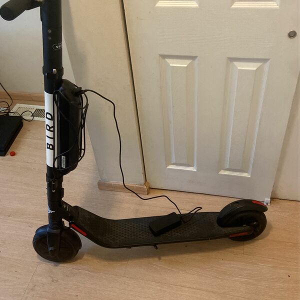 Bird E Scooter