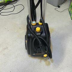 Professional Steamer