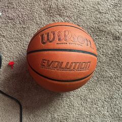 Wilson Basketball