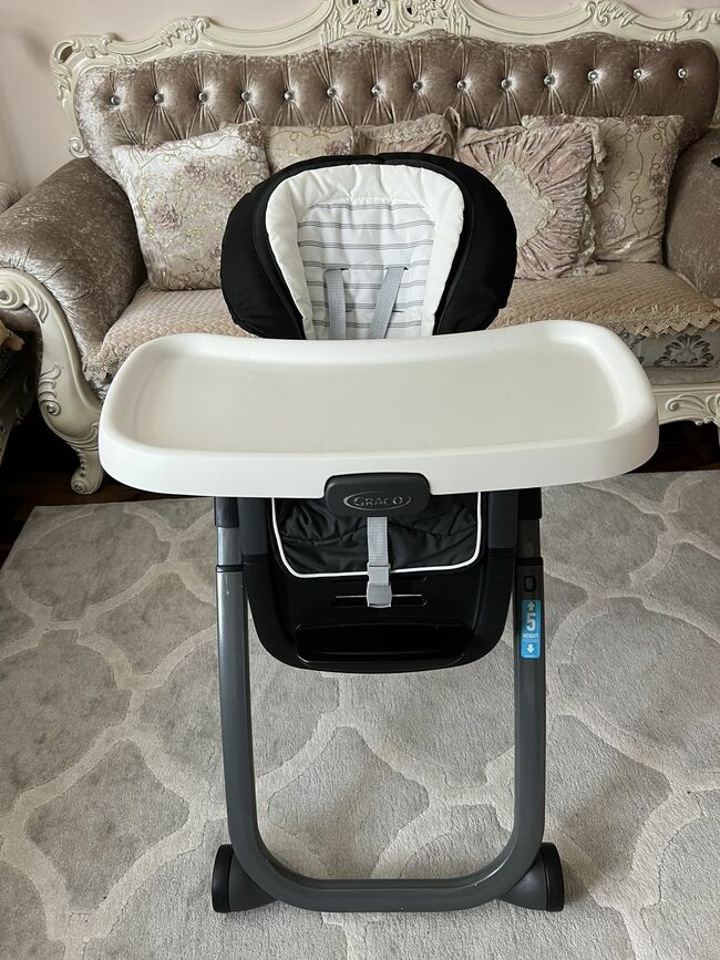 Chico, Greco , Grey,