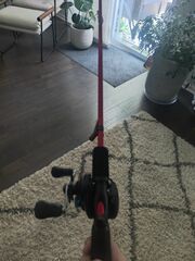 Shimano SLX Reel With Abu Garcia Ez Cast Poll