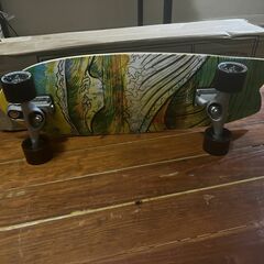 Carver Skateboard