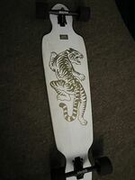 LandYachtz longboard