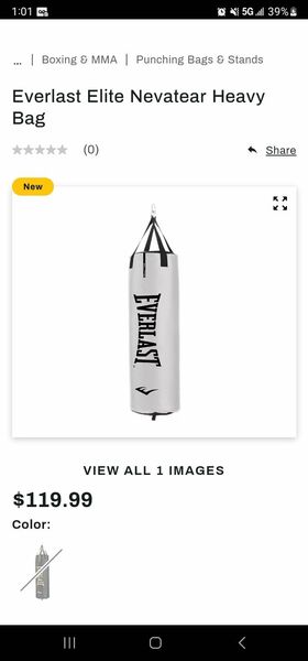Everlast 60lbs Punching Bag