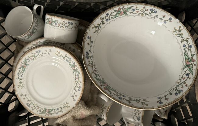 DINNERWARE (WELLELSEY 486)