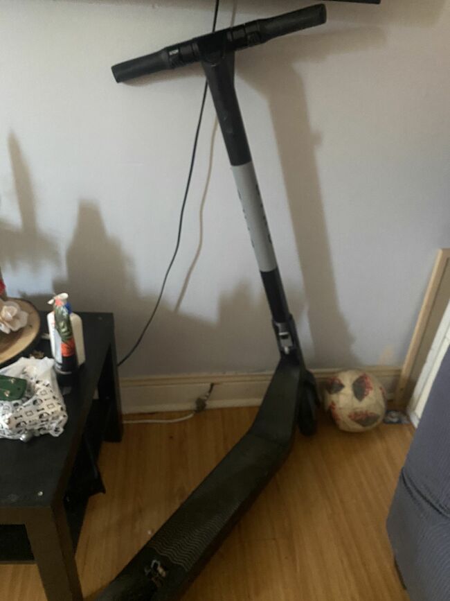 Bird Electric Scooter