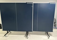 Ping pong Table