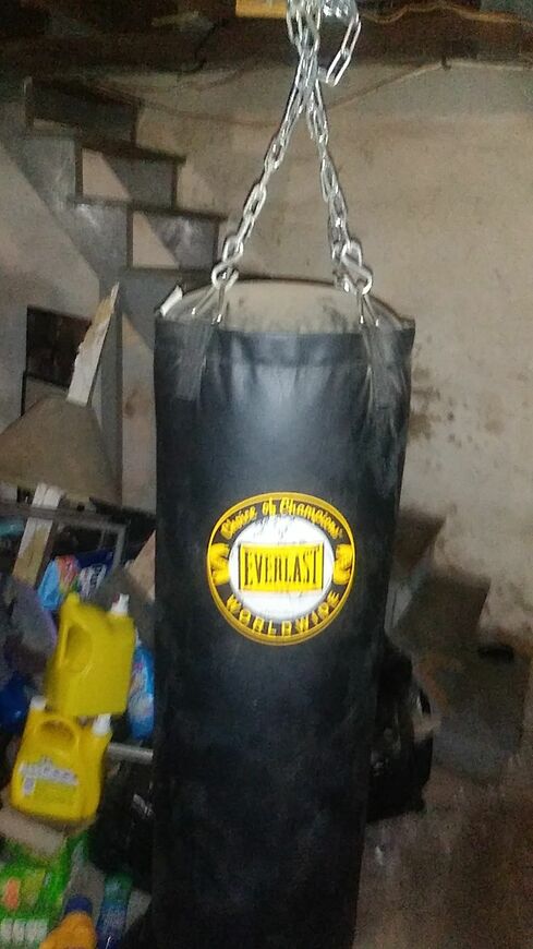 Punching bag for sale