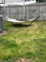 Hammock