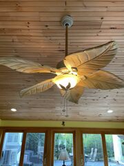 Ceiling Fan