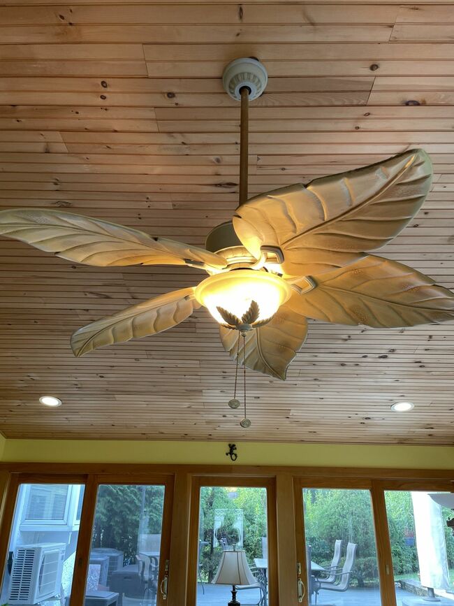 Ceiling Fan