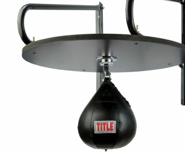 Speed Bag Ever Last