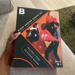 Giant Set Of Boxing Gloves