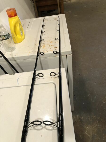 Blacktip Fishing Rod