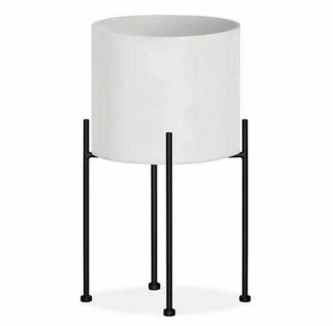 Monstruosus Stand Medium Planter