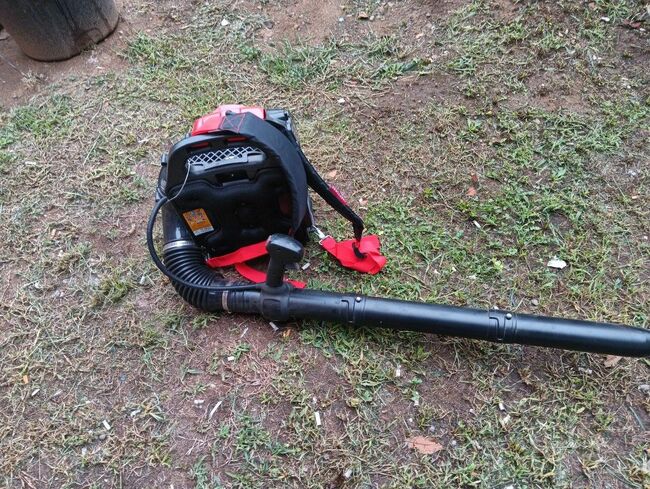craftsman back  pac blower