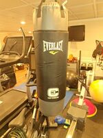 Punching Bag  w/gloves