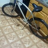 Beach Cruiser