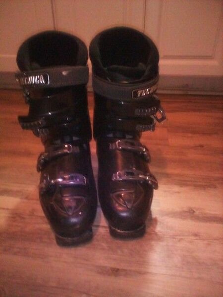 Skiing Boots (Tecnica Rival X5)
