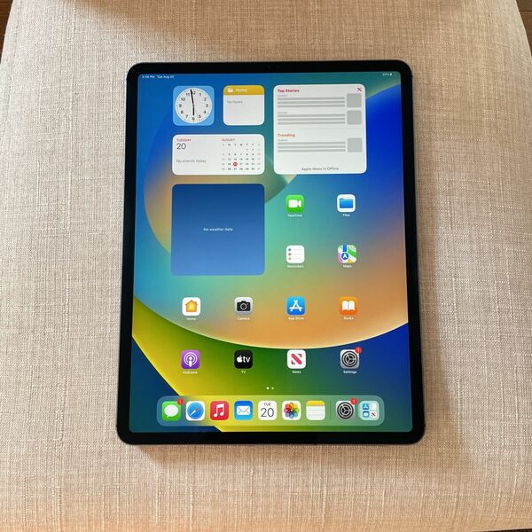 Apple 3rd Gen 12.9 Inch iPad Pro 512GB (WiFi + Cellular) Unlocked